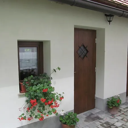 Apartment Sever Idrija Room photo